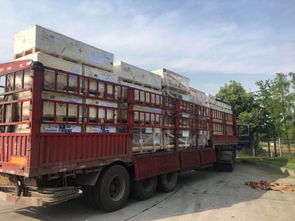 全國道路貨物運(yùn)輸行業(yè)動態(tài)與商情資訊概覽