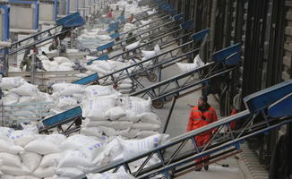 發(fā)展集團內(nèi)部運輸市場 價值、機遇與策略