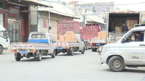 馬路變貨運(yùn)場 占道卸貨的隱患與道路運(yùn)輸安全之困